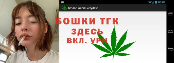 гашик Семилуки