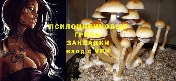 гашик Семилуки