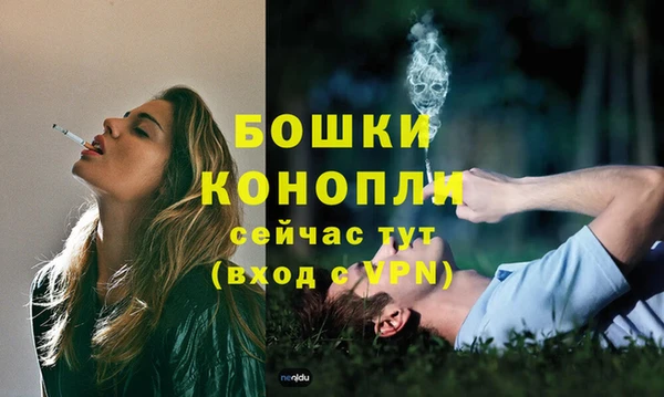 крисы Вязники