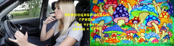 крисы Вязники