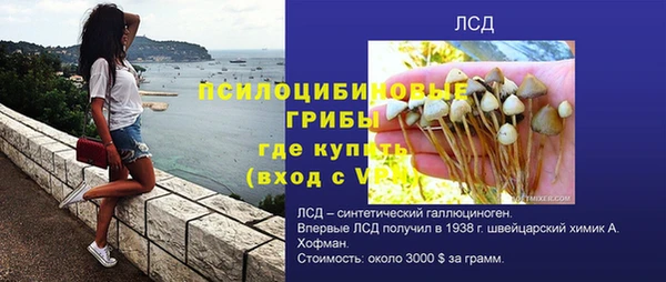 шишки Семикаракорск