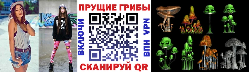 Галлюциногенные грибы прущие грибы  что такое наркотик  Осинники 